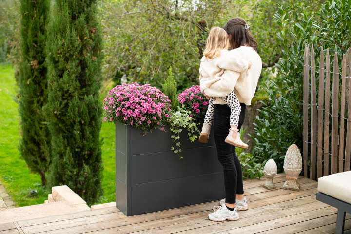 WESTMANN Pflanzkübel Talus